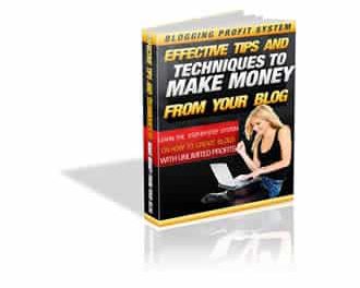 Blogging Profit System 2