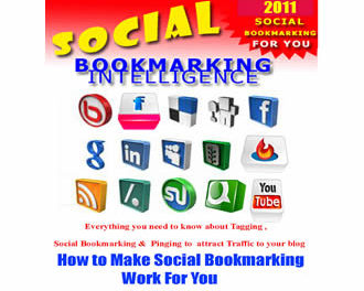 Social Bookmarking Intelligence