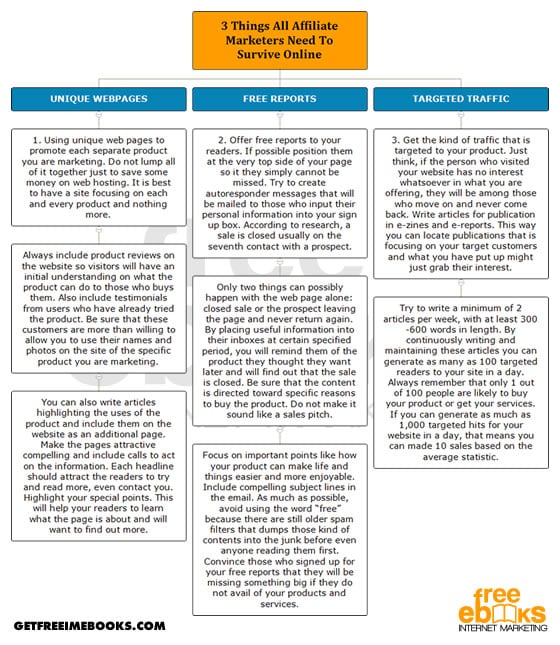 3 Things All Affiliate Marketers Need To Survive Online Flowchart