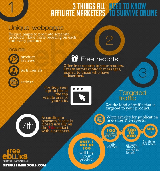 3 Things All Affiliate Marketers Need To Survive Online Infographics