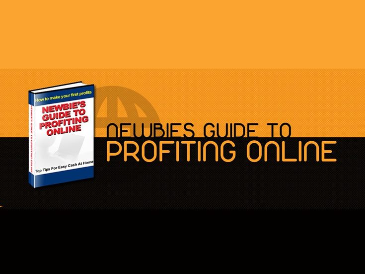 Newbies Guide To Profiting Online