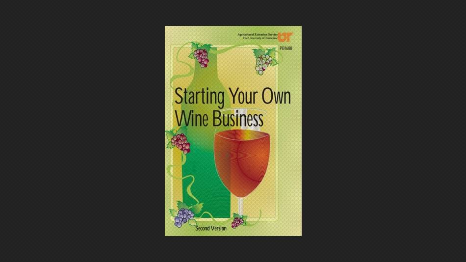 Starting Your Own Wine Business