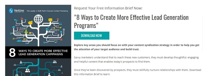 8 Ways to Create More Effective Lead Generation Programs by NetLine Corporation 