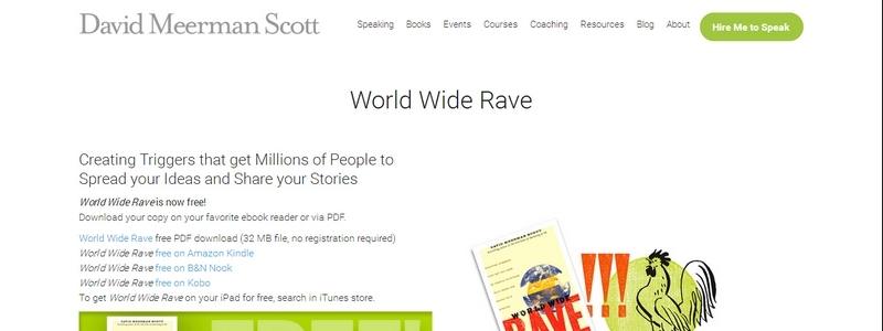 World Wide Rave by David Meerman Scott 